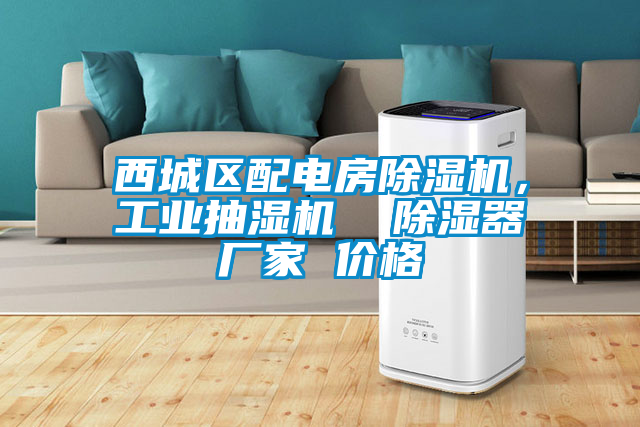 西城区配电房除湿机，工业抽湿机  除湿器厂家 价格
