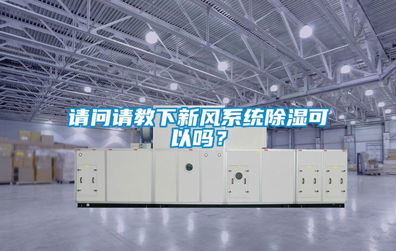 请问请教下新风系统除湿可以吗？