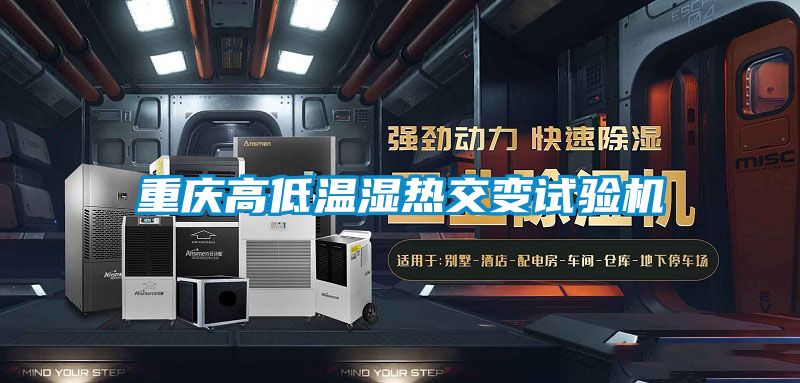 重庆高低温湿热交变试验机