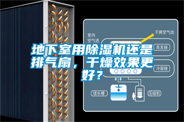 地下室用除湿机还是排气扇，干燥效果更好？
