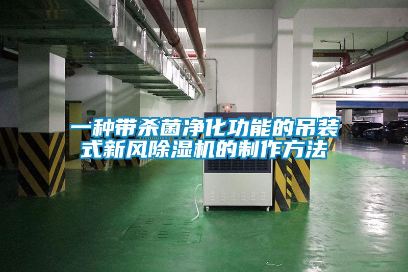 一种带杀菌净化功能的吊装式新风除湿机的制作方法