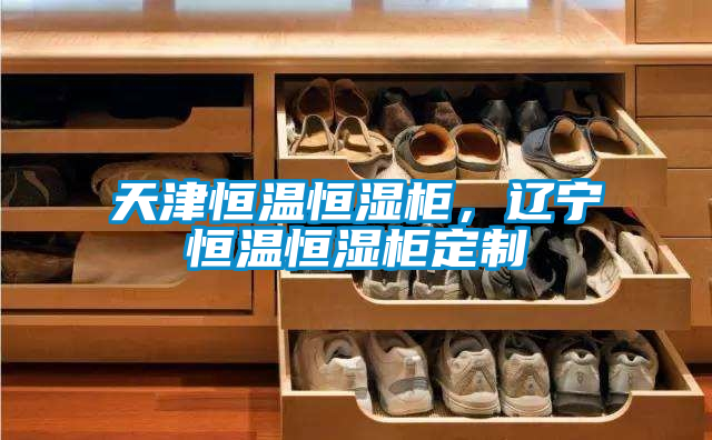 天津恒温恒湿柜，辽宁恒温恒湿柜定制