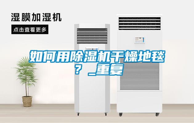 如何用除湿机干燥地毯？_重复