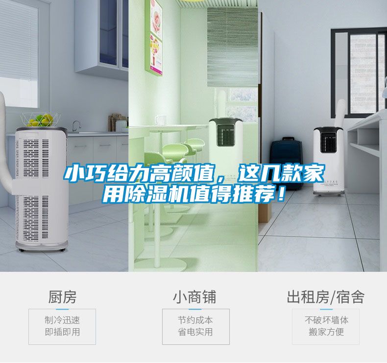 小巧给力高颜值，这几款家用除湿机值得推荐！