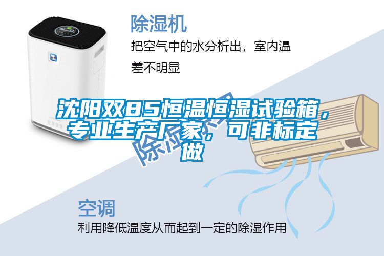 沈阳双85恒温恒湿试验箱，专业生产厂家，可非标定做