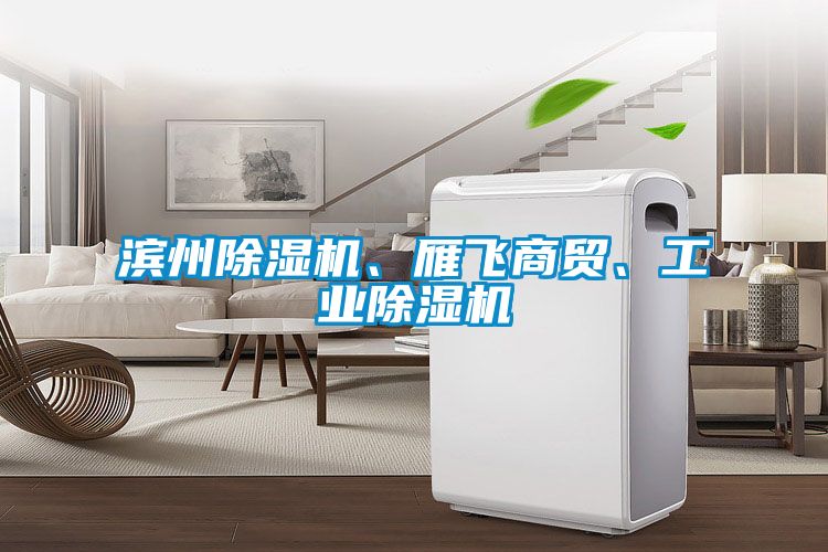 滨州除湿机、雁飞商贸、工业除湿机