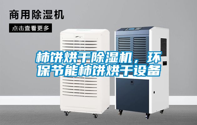 柿饼烘干除湿机，环保节能柿饼烘干设备