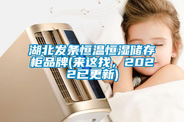 湖北发条恒温恒湿储存柜品牌(来这找，2022已更新)
