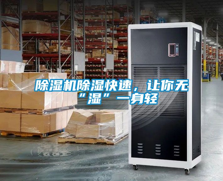 除湿机除湿快速，让你无“湿”一身轻