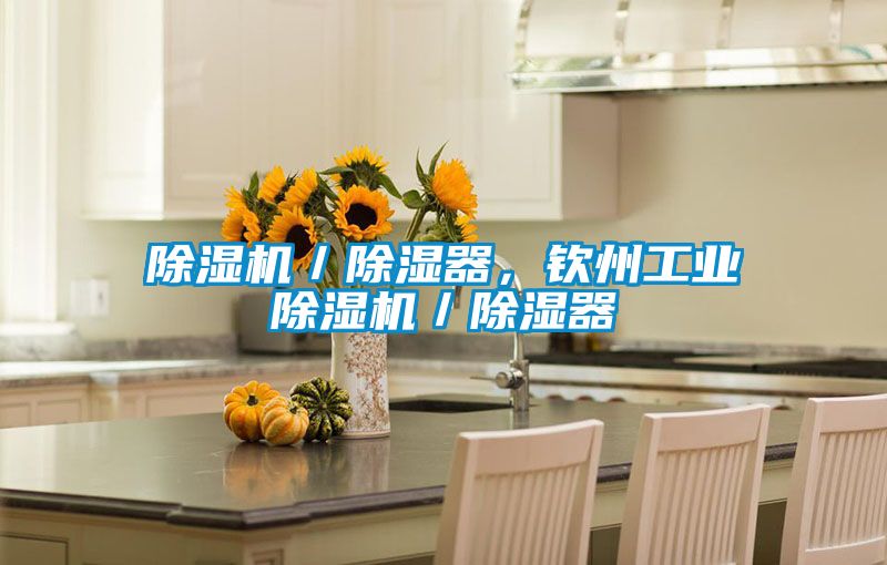 除湿机／除湿器，钦州工业除湿机／除湿器
