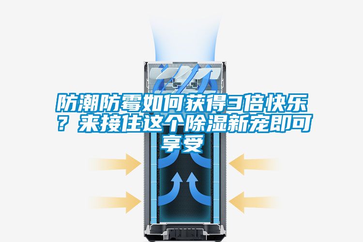 防潮防霉如何获得3倍快乐？来接住这个除湿新宠即可享受