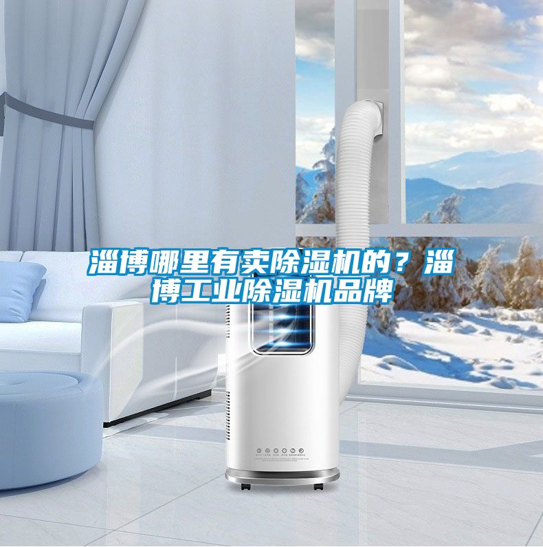 淄博哪里有卖除湿机的？淄博工业除湿机品牌