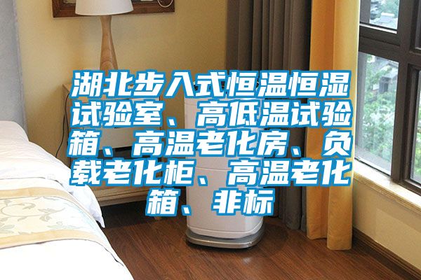 湖北步入式恒温恒湿试验室、高低温试验箱、高温老化房、负载老化柜、高温老化箱、非标