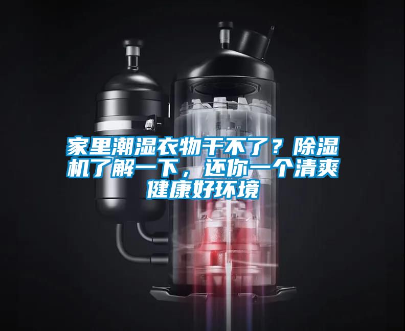 家里潮湿衣物干不了？除湿机了解一下，还你一个清爽健康好环境