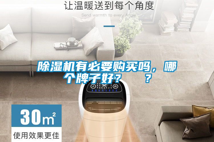 除湿机有必要购买吗，哪个牌子好？  ？