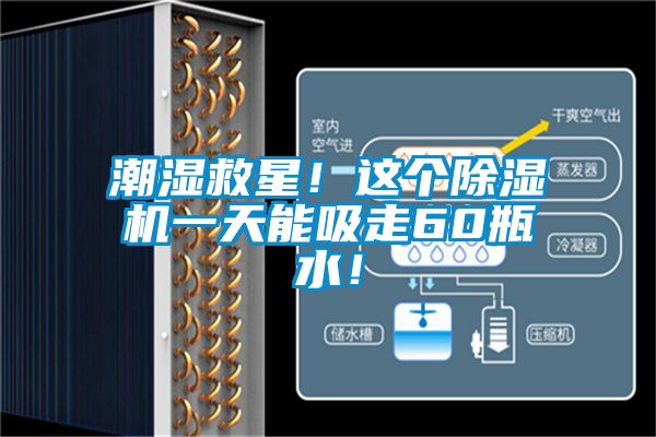潮湿救星！这个除湿机一天能吸走60瓶水！
