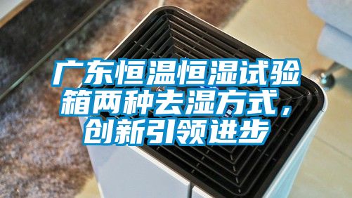 广东恒温恒湿试验箱两种去湿方式，创新引领进步