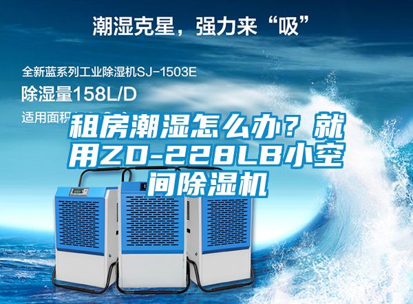租房潮湿怎么办？就用ZD-228LB小空间除湿机
