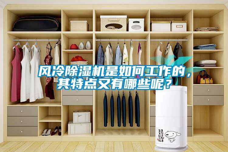 风冷除湿机是如何工作的，其特点又有哪些呢？