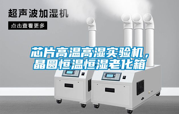 芯片高温高湿实验机，晶圆恒温恒湿老化箱