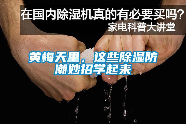 黄梅天里，这些除湿防潮妙招学起来
