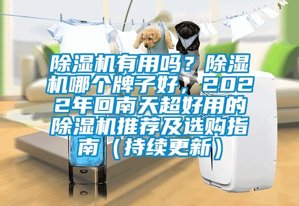 除湿机有用吗？除湿机哪个牌子好，2022年回南天超好用的除湿机推荐及选购指南（持续更新）