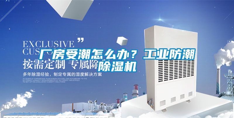廠房受潮怎么辦？工業(yè)防潮除濕機(jī)