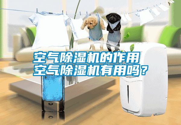 空气除湿机的作用 空气除湿机有用吗？