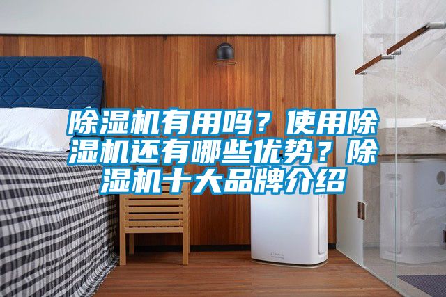 除湿机有用吗？使用除湿机还有哪些优势？除湿机十大品牌介绍