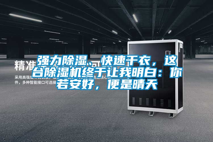 强力除湿、快速干衣，这台除湿机终于让我明白：你若安好，便是晴天