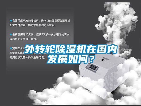 外转轮除湿机在国内发展如何？