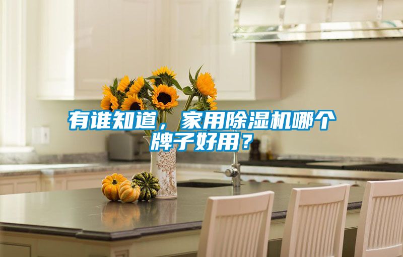 有谁知道，家用除湿机哪个牌子好用？