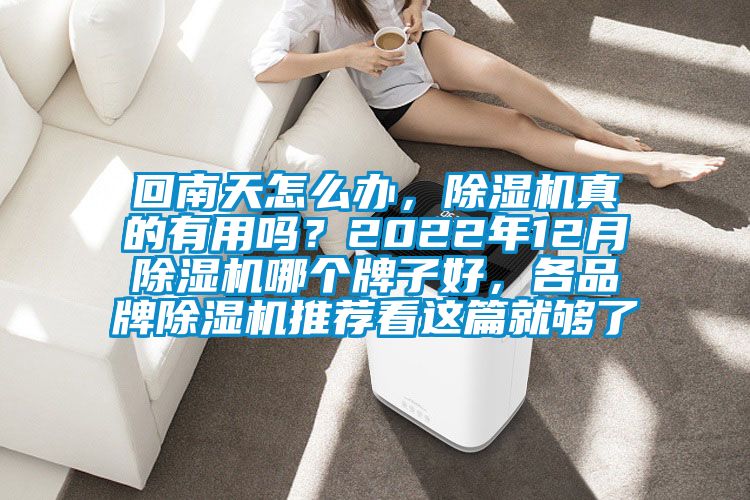 回南天怎么办，除湿机真的有用吗？2022年12月除湿机哪个牌子好，各品牌除湿机推荐看这篇就够了