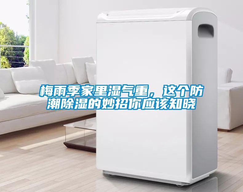 梅雨季家里湿气重，这个防潮除湿的妙招你应该知晓