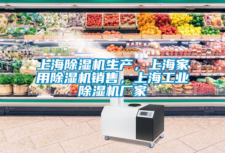 上海除湿机生产，上海家用除湿机销售，上海工业除湿机厂家