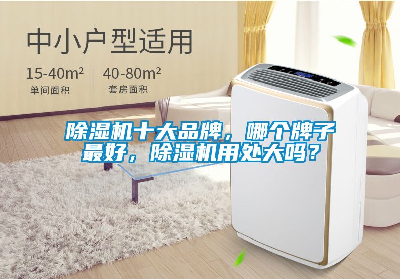 除濕機(jī)十大品牌，哪個牌子最好，除濕機(jī)用處大嗎？
