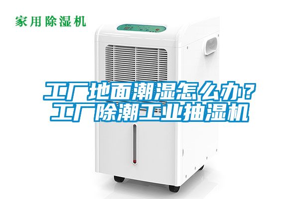 工厂地面潮湿怎么办？工厂除潮工业抽湿机