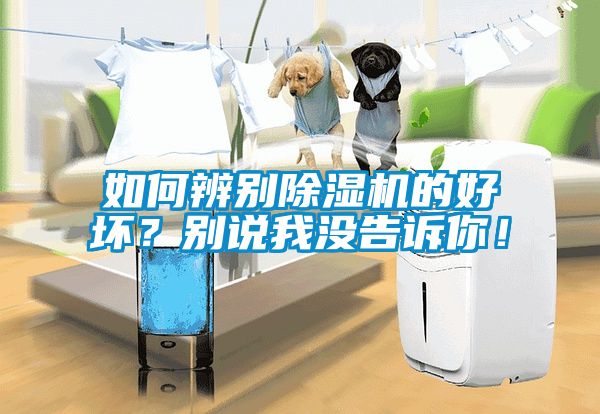 如何辨别除湿机的好坏？别说我没告诉你！