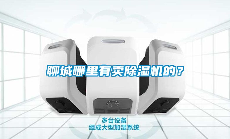 聊城哪里有卖除湿机的？