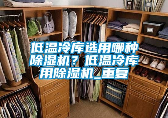 低温冷库选用哪种除湿机？低温冷库用除湿机_重复