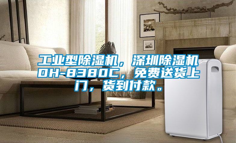 工业型除湿机，深圳除湿机DH-8380C，免费送货上门，货到付款。