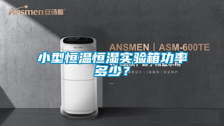 小型恒温恒湿实验箱功率多少？