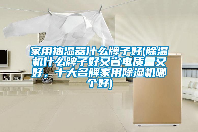 家用抽湿器什么牌子好(除湿机什么牌子好又省电质量又好，十大名牌家用除湿机哪个好)