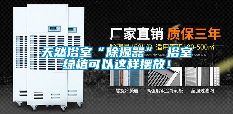 天然浴室“除湿器” 浴室绿植可以这样摆放！