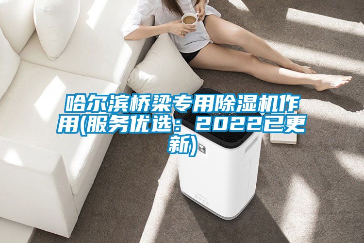 哈尔滨桥梁专用除湿机作用(服务优?。?022已更新)
