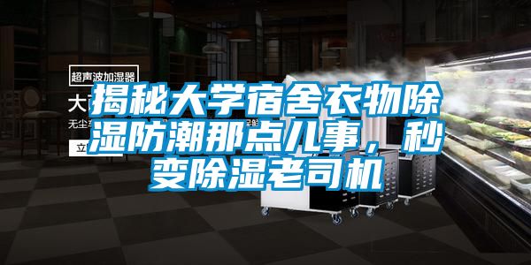 揭秘大学宿舍衣物除湿防潮那点儿事，秒变除湿老司机
