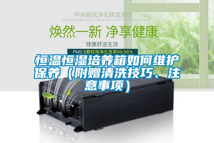 恒温恒湿培养箱如何维护保养（附赠清洗技巧、注意事项）