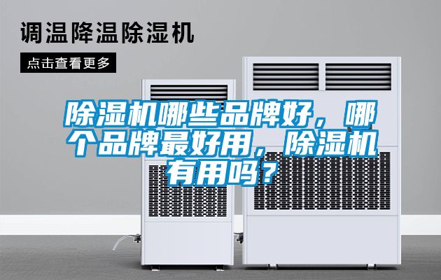 除湿机哪些品牌好，哪个品牌最好用，除湿机有用吗？