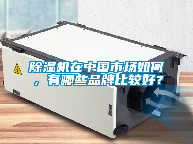 除湿机在中国市场如何，有哪些品牌比较好？
