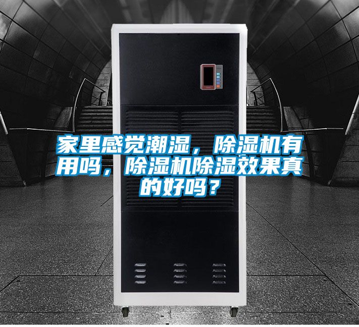 家里感觉潮湿，除湿机有用吗，除湿机除湿效果真的好吗？